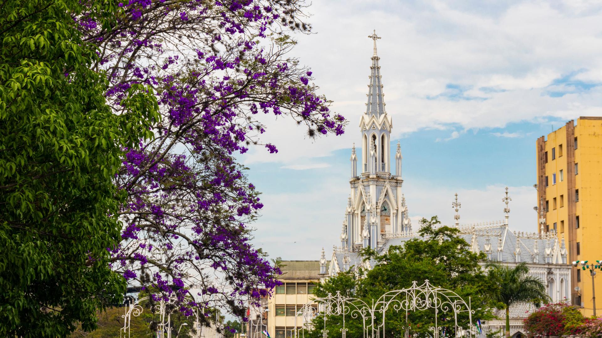 Vista panorámica de Cali